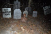 haunted_trail_of_terror002001.jpg