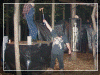 haunted_trail_of_terror008012.gif