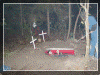 haunted_trail_of_terror008014.gif